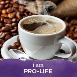 Meet your Posher, Sylvia